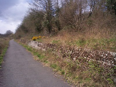 The cycle track looking west
